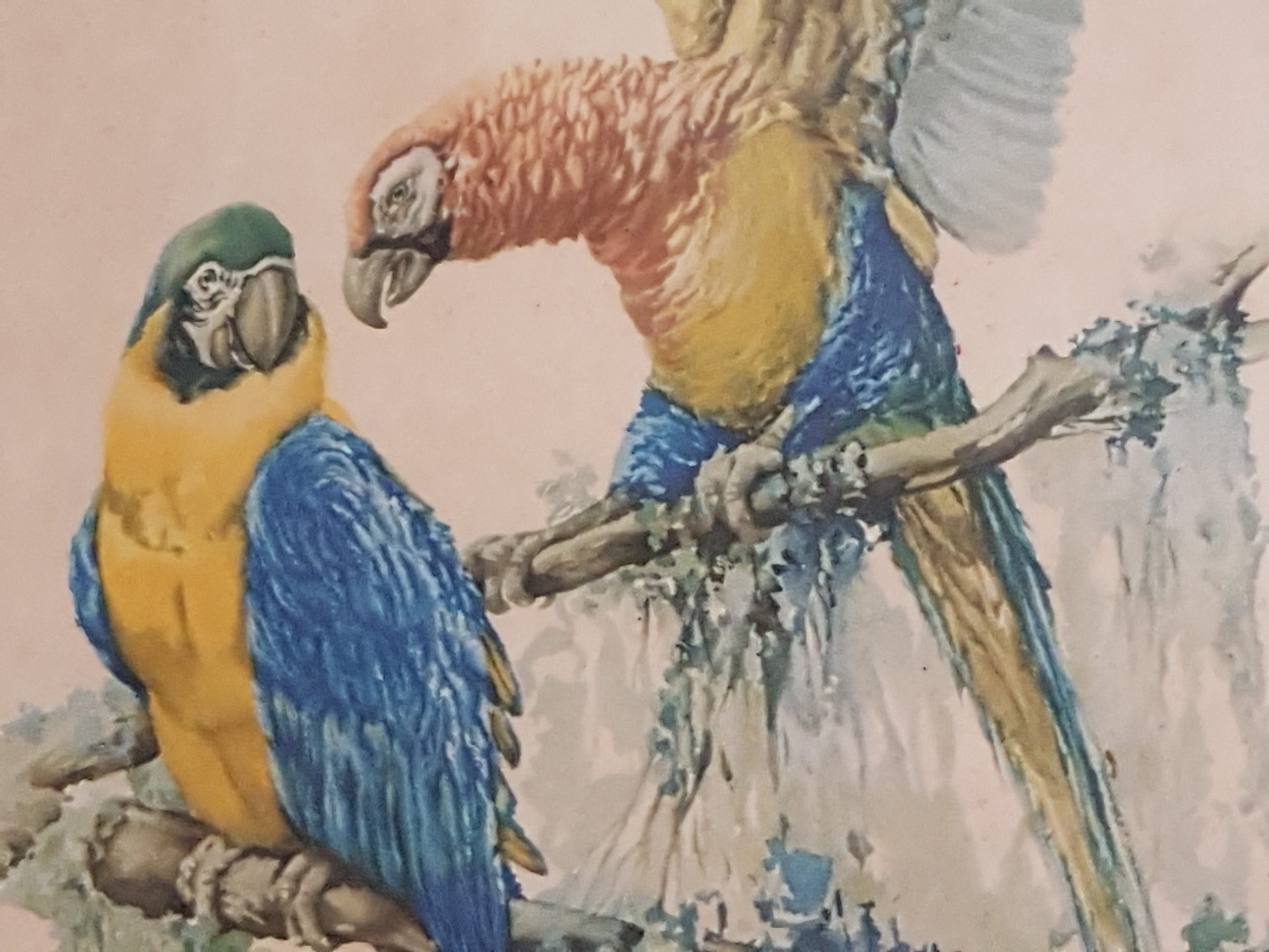 La Boutique Saint-Gimer & Les Cadeaux de la Nature