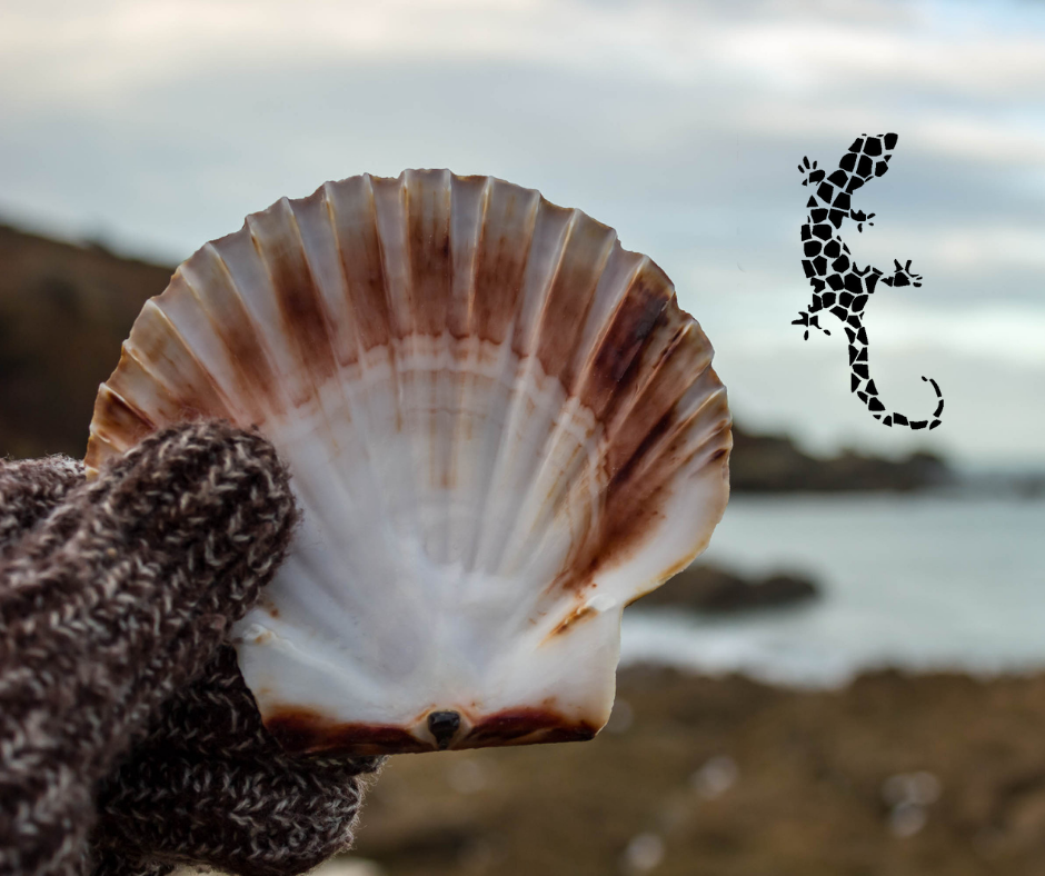 Un outil naturel de l&rsquo;Univers