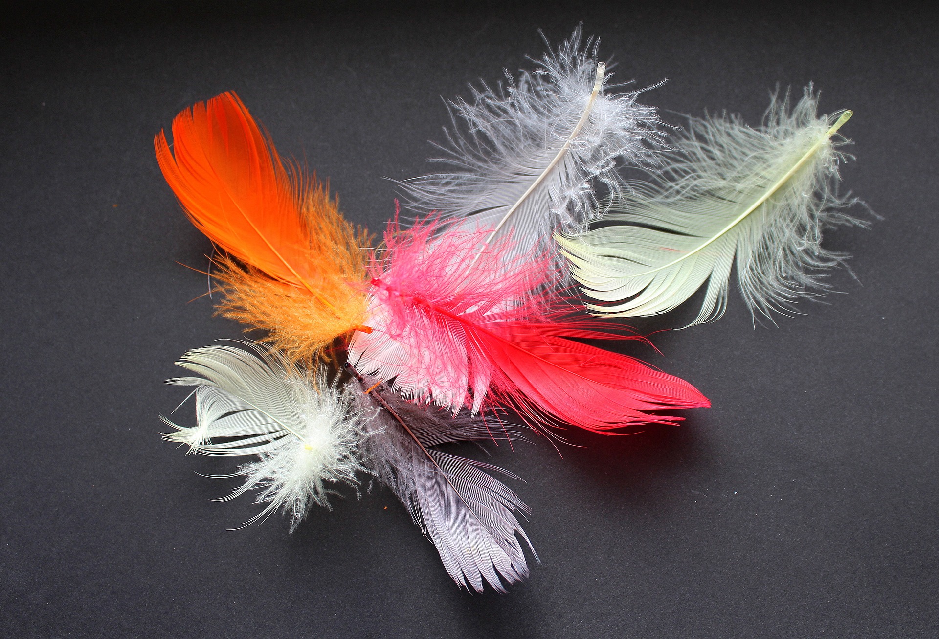 Une nouvelle légèreté