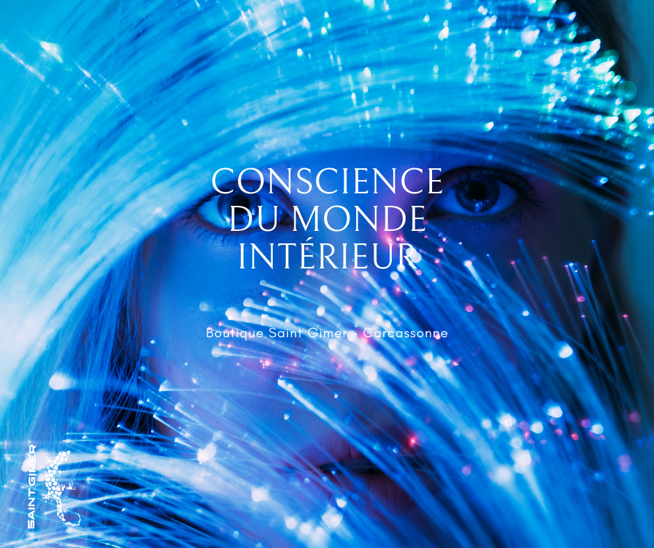 Conscience du monde intérieur