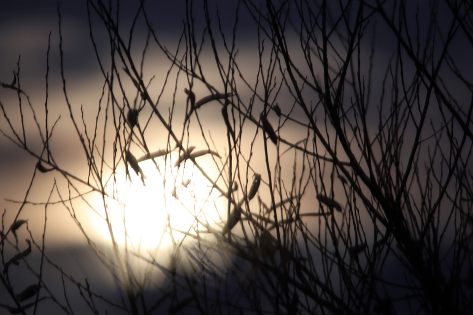 Eclipse solaire de la Nouvelle Lune