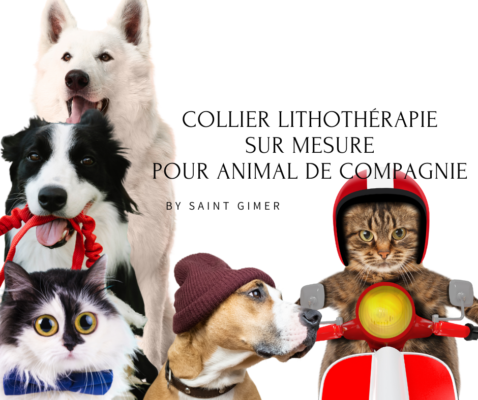 Les animaux et la lithothérapie ( colliers adaptés et sur mesure)