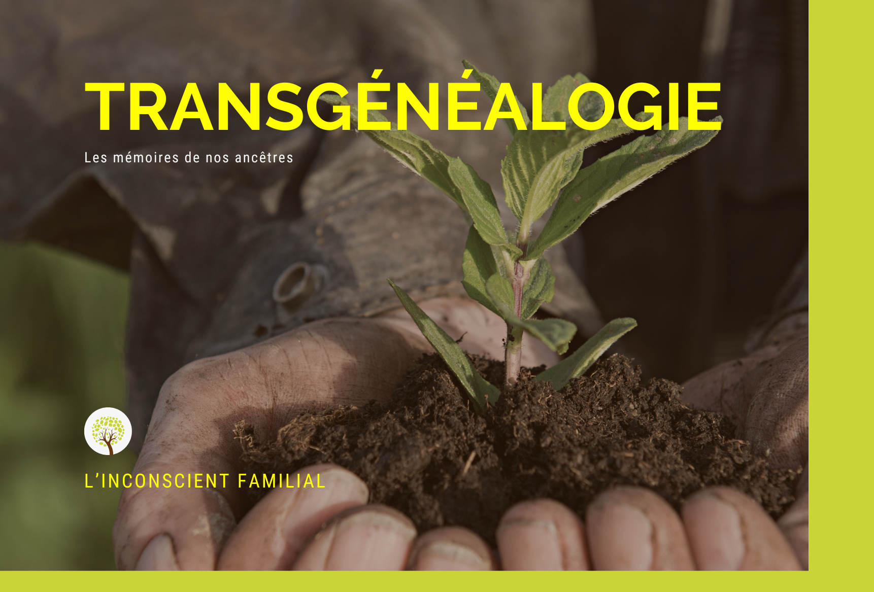 La Transgénéalogie : Comprendre les Liens Invisibles qui Nous Unissent à Nos Ancêtres